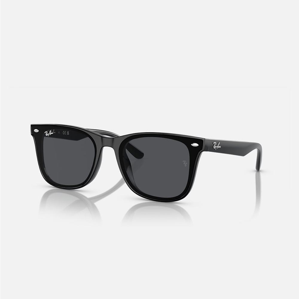 Ray-Ban Wayfarer XL